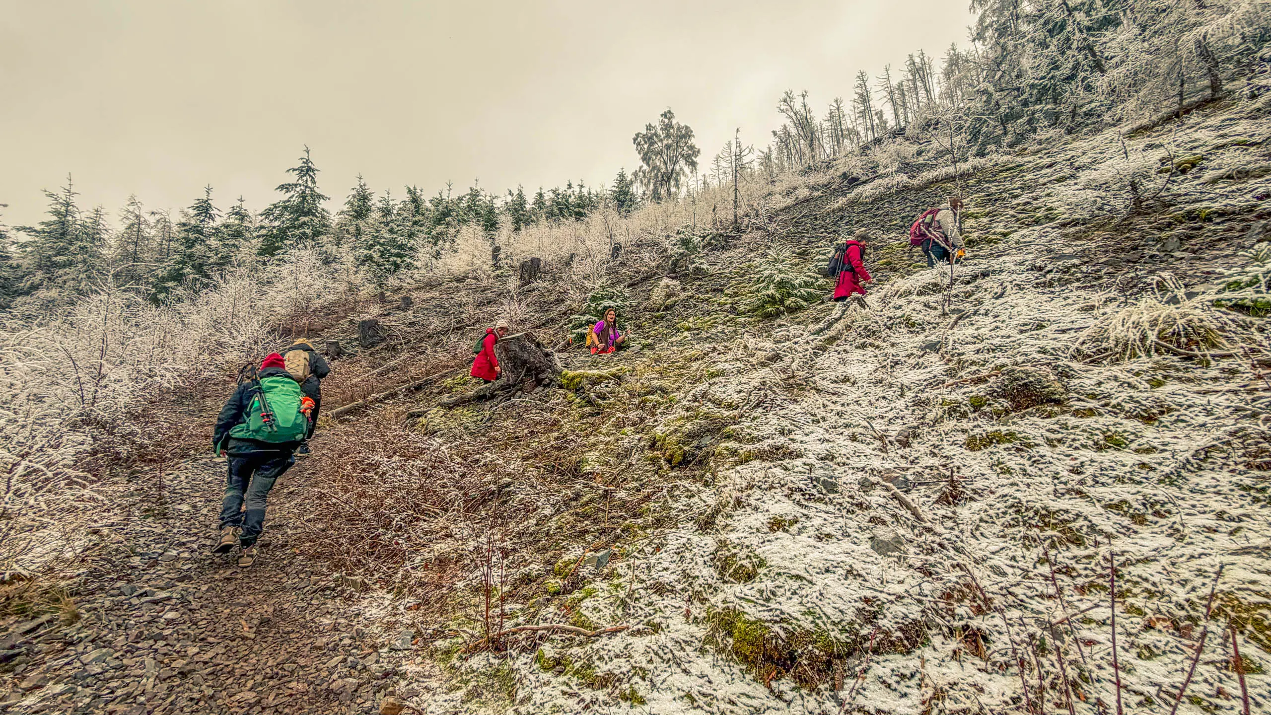 20260214.EMTI.Harzmarsch.20Km.Ilsenburg.Bild.25