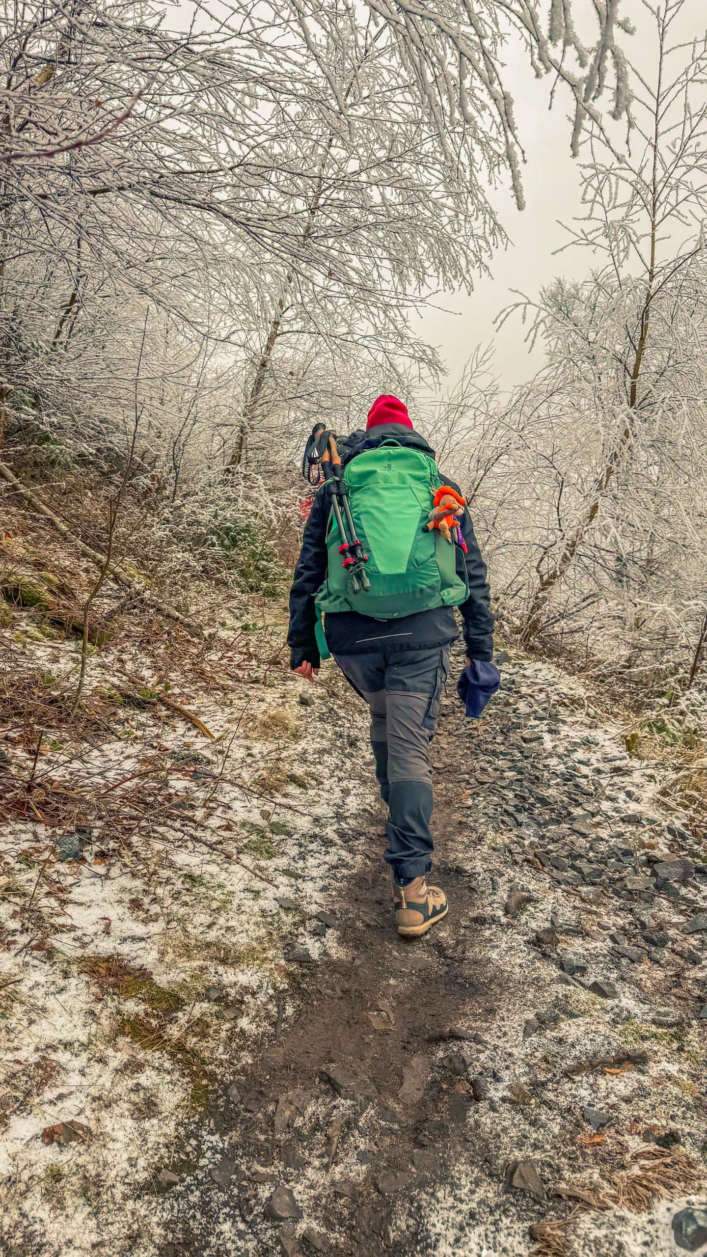 20260214.EMTI.Harzmarsch.20Km.Ilsenburg.Bild.26