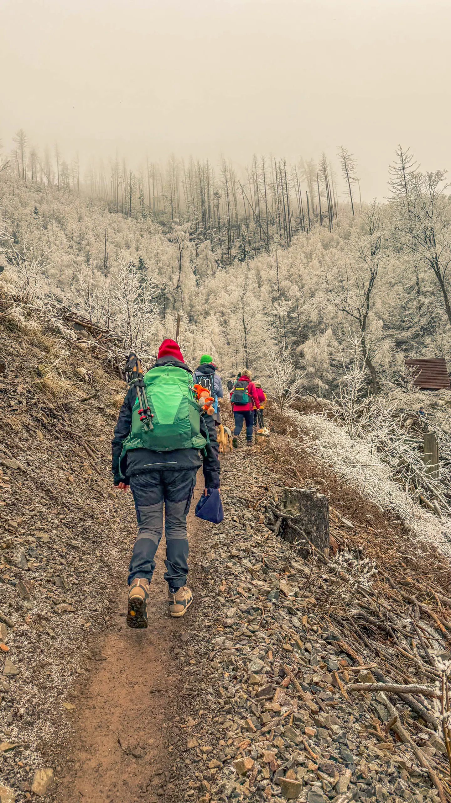 20260214.EMTI.Harzmarsch.20Km.Ilsenburg.Bild.28