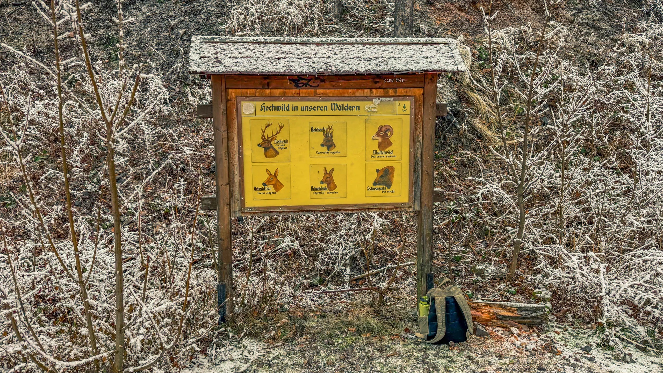 20260214.EMTI.Harzmarsch.20Km.Ilsenburg.Bild.29