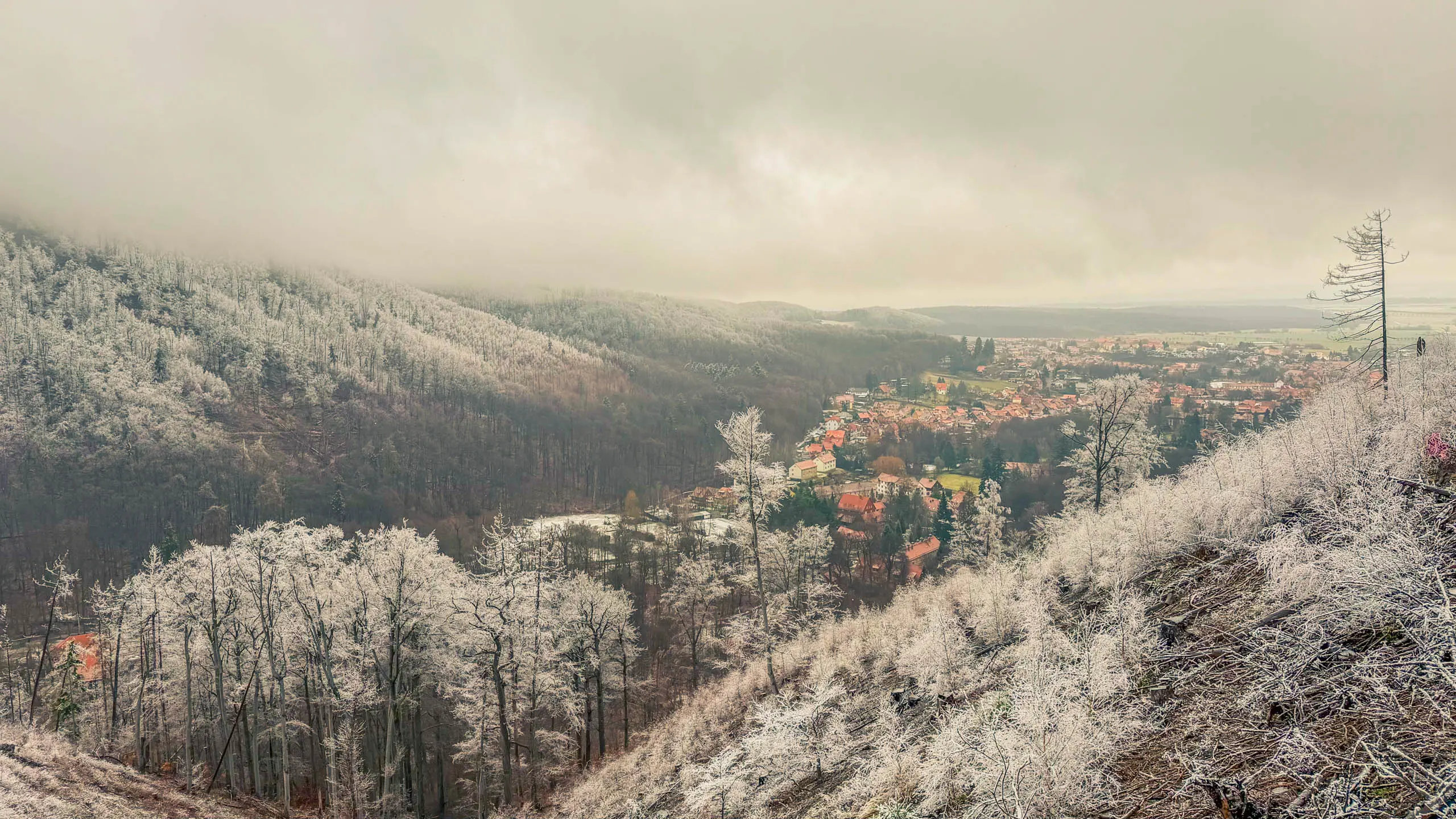 20260214.EMTI.Harzmarsch.20Km.Ilsenburg.Bild.30