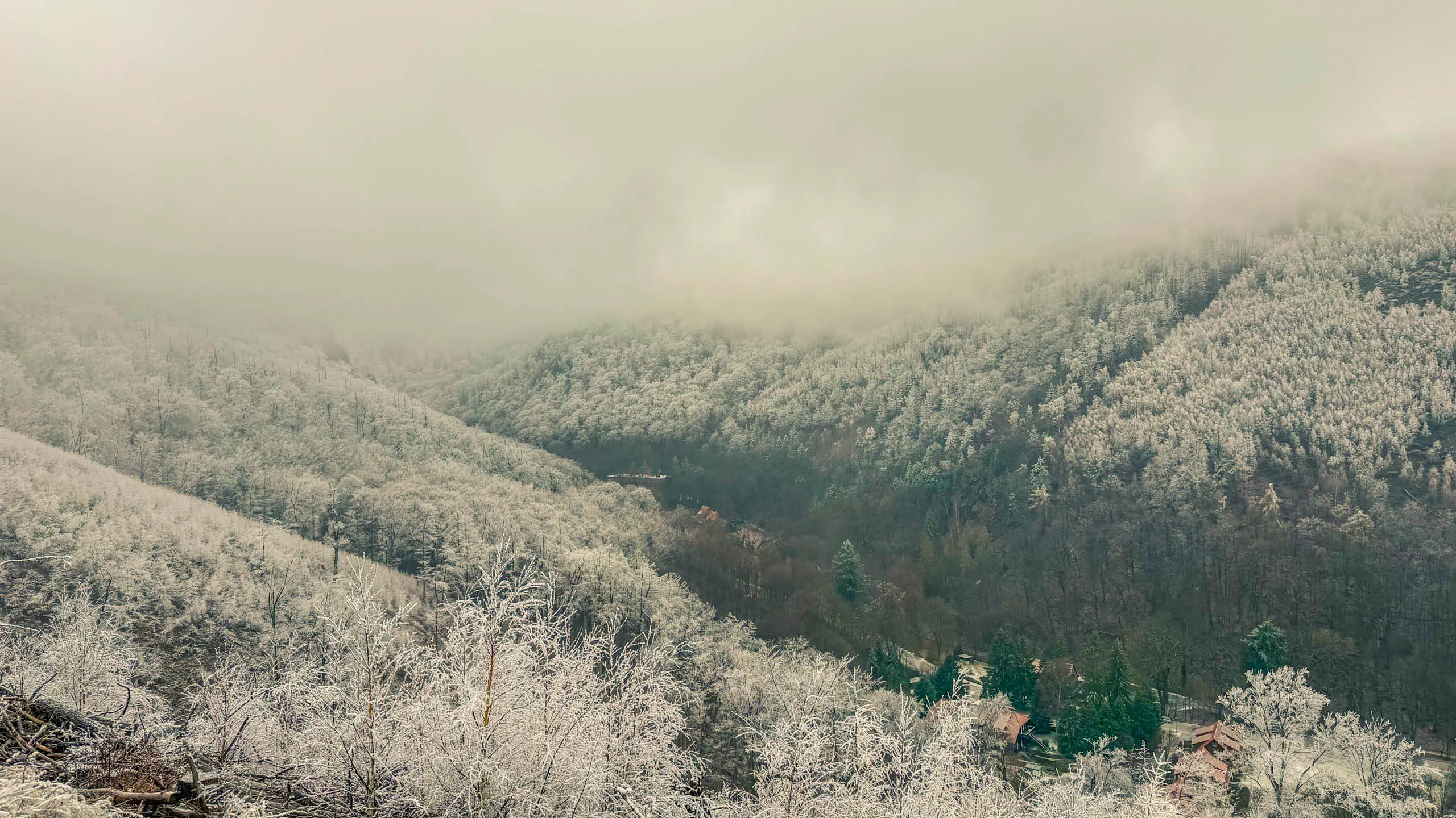 20260214.EMTI.Harzmarsch.20Km.Ilsenburg.Bild.31