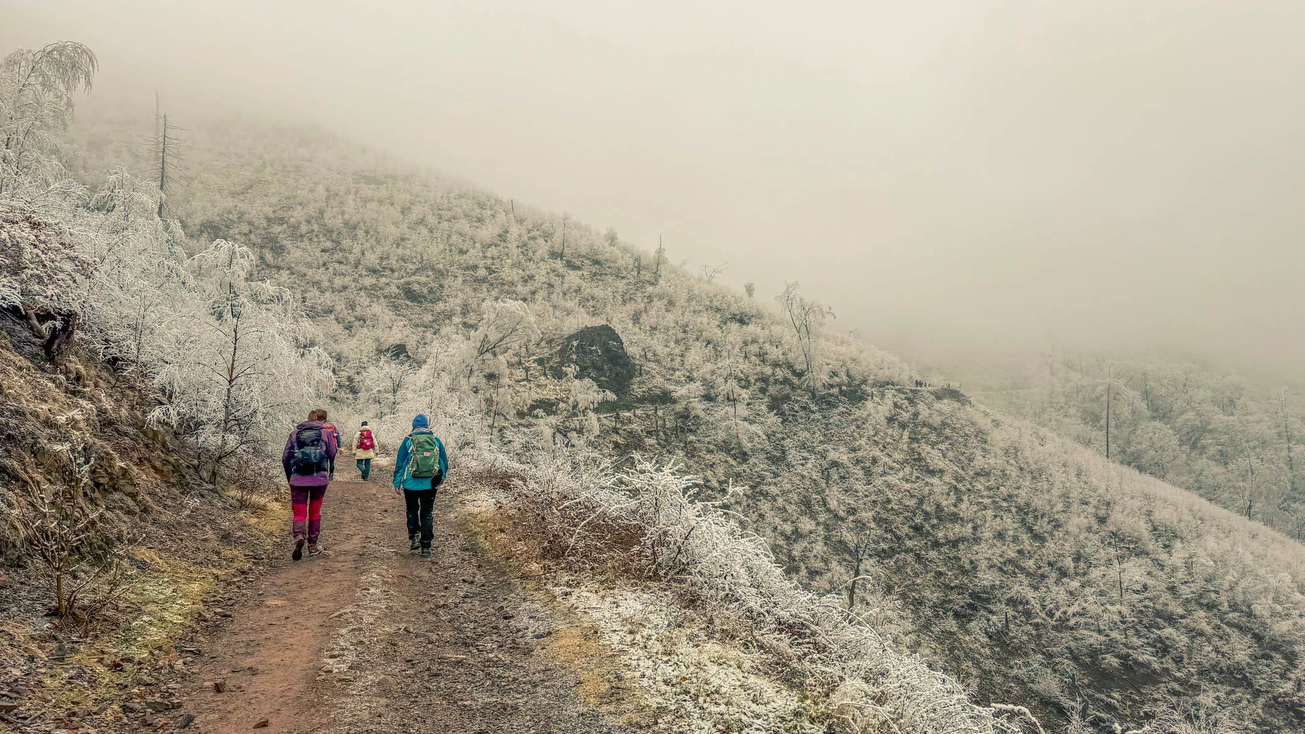 20260214.EMTI.Harzmarsch.20Km.Ilsenburg.Bild.32