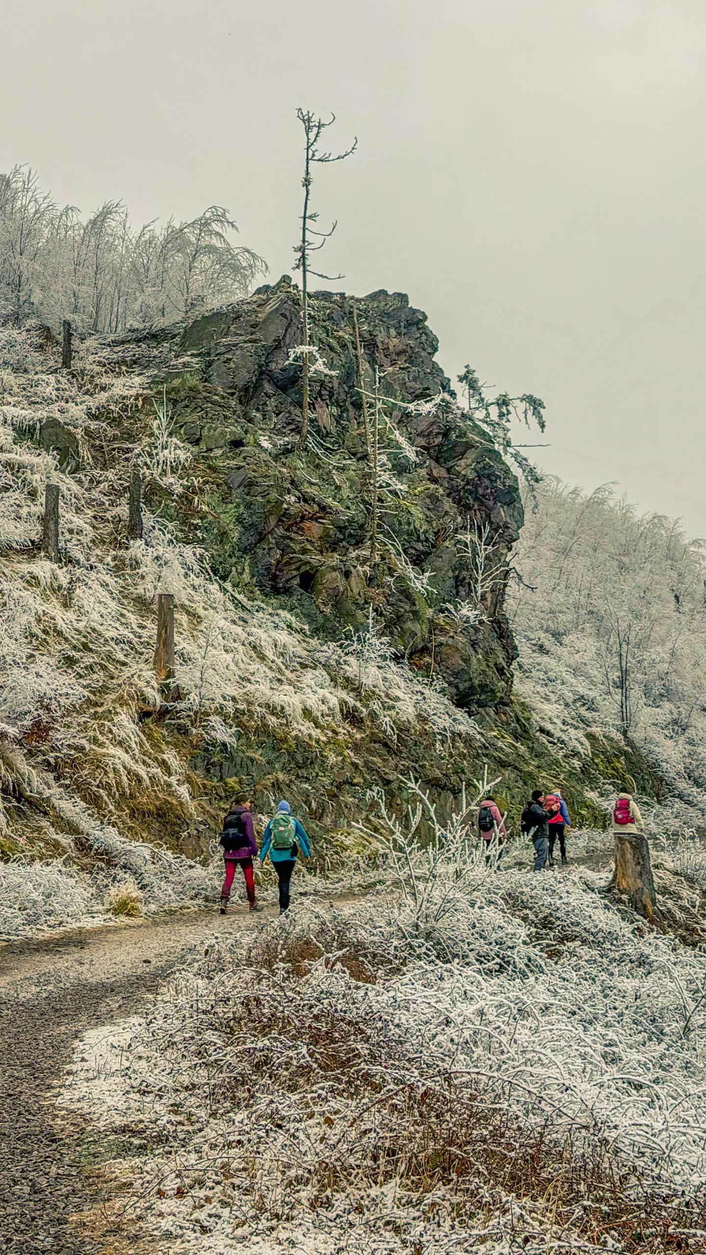 20260214.EMTI.Harzmarsch.20Km.Ilsenburg.Bild.33