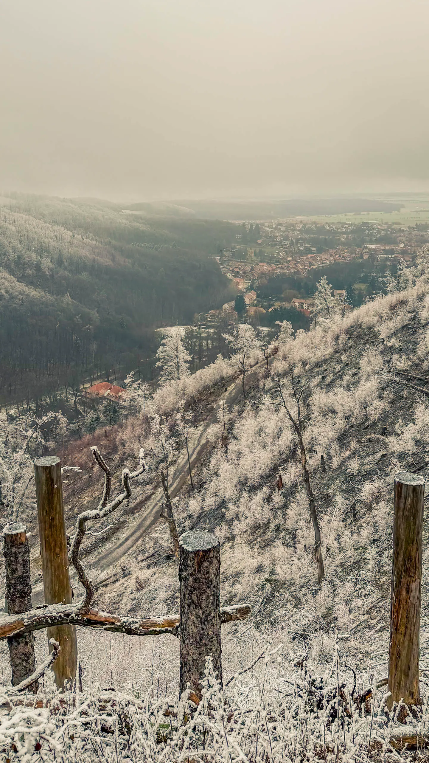 20260214.EMTI.Harzmarsch.20Km.Ilsenburg.Bild.34