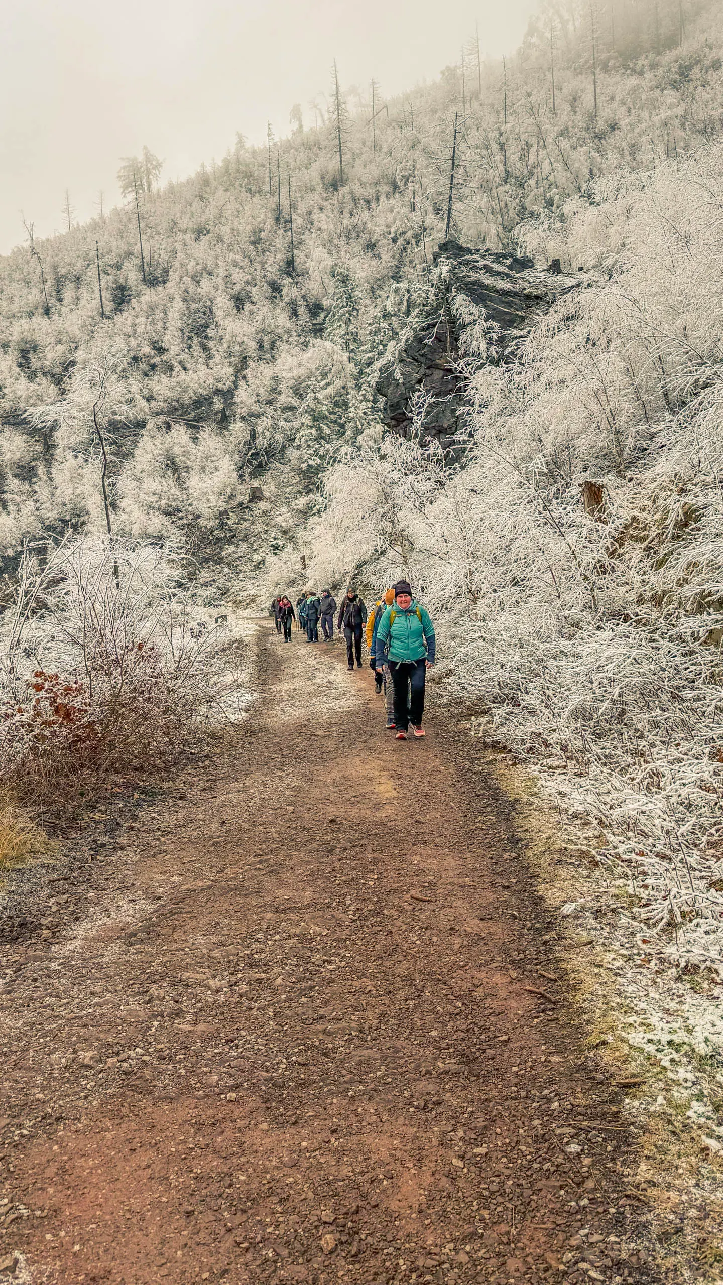 20260214.EMTI.Harzmarsch.20Km.Ilsenburg.Bild.35