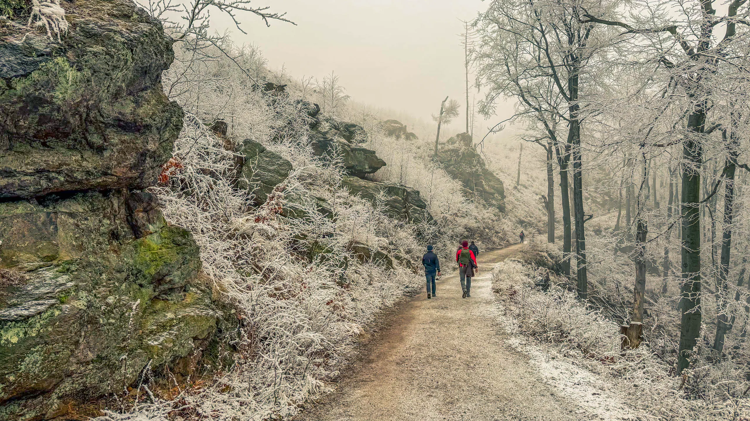 20260214.EMTI.Harzmarsch.20Km.Ilsenburg.Bild.37