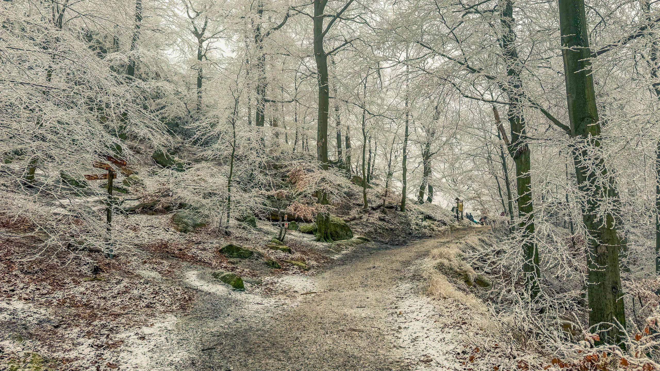 20260214.EMTI.Harzmarsch.20Km.Ilsenburg.Bild.38