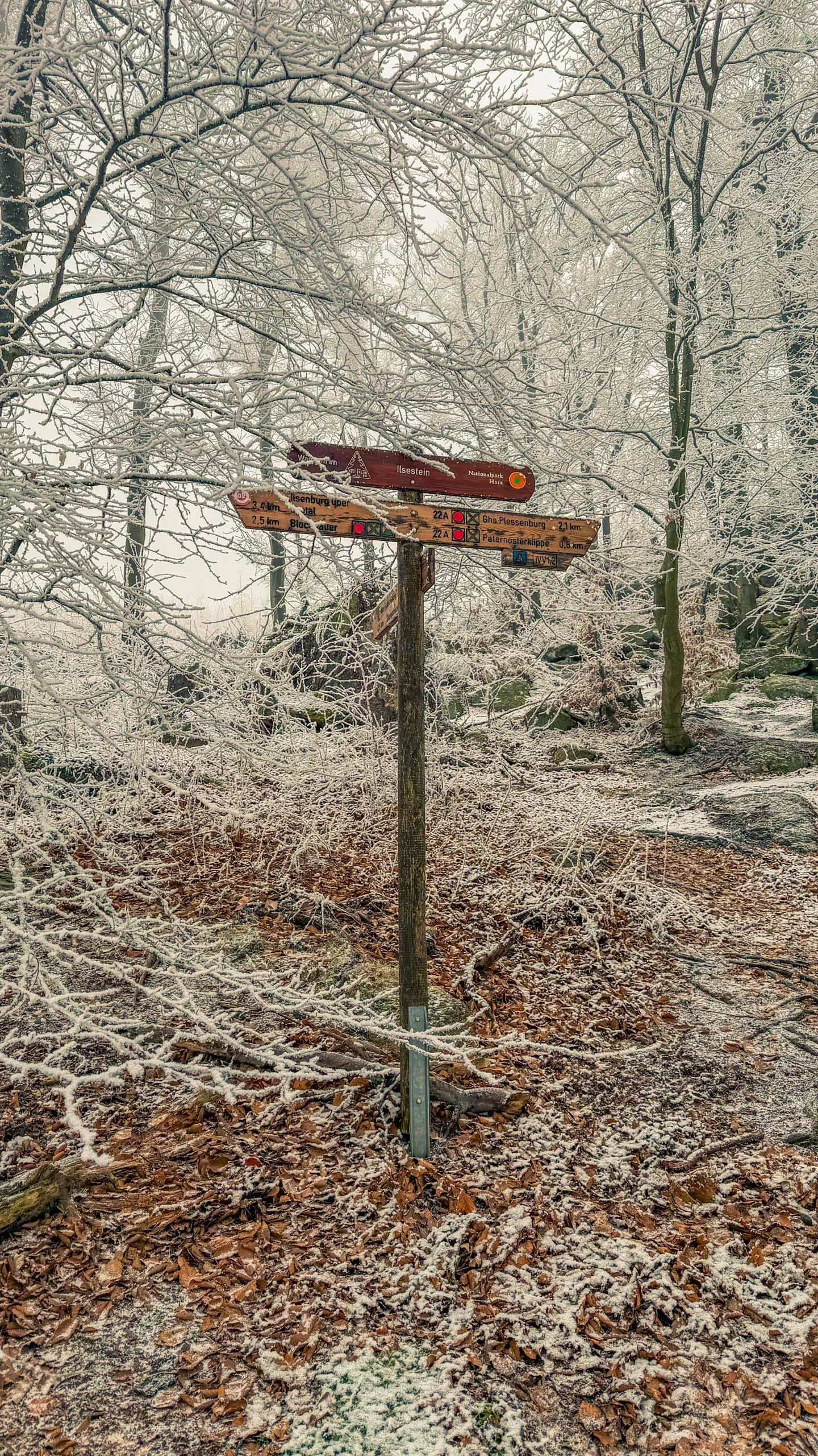 20260214.EMTI.Harzmarsch.20Km.Ilsenburg.Bild.39