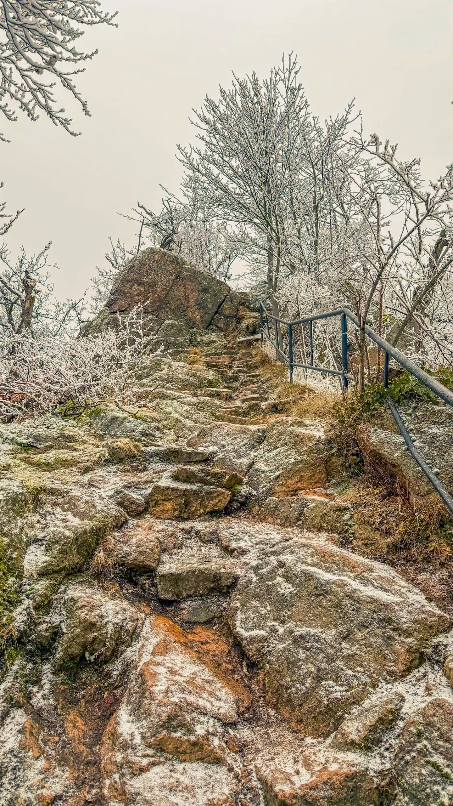 20260214.EMTI.Harzmarsch.20Km.Ilsenburg.Bild.41