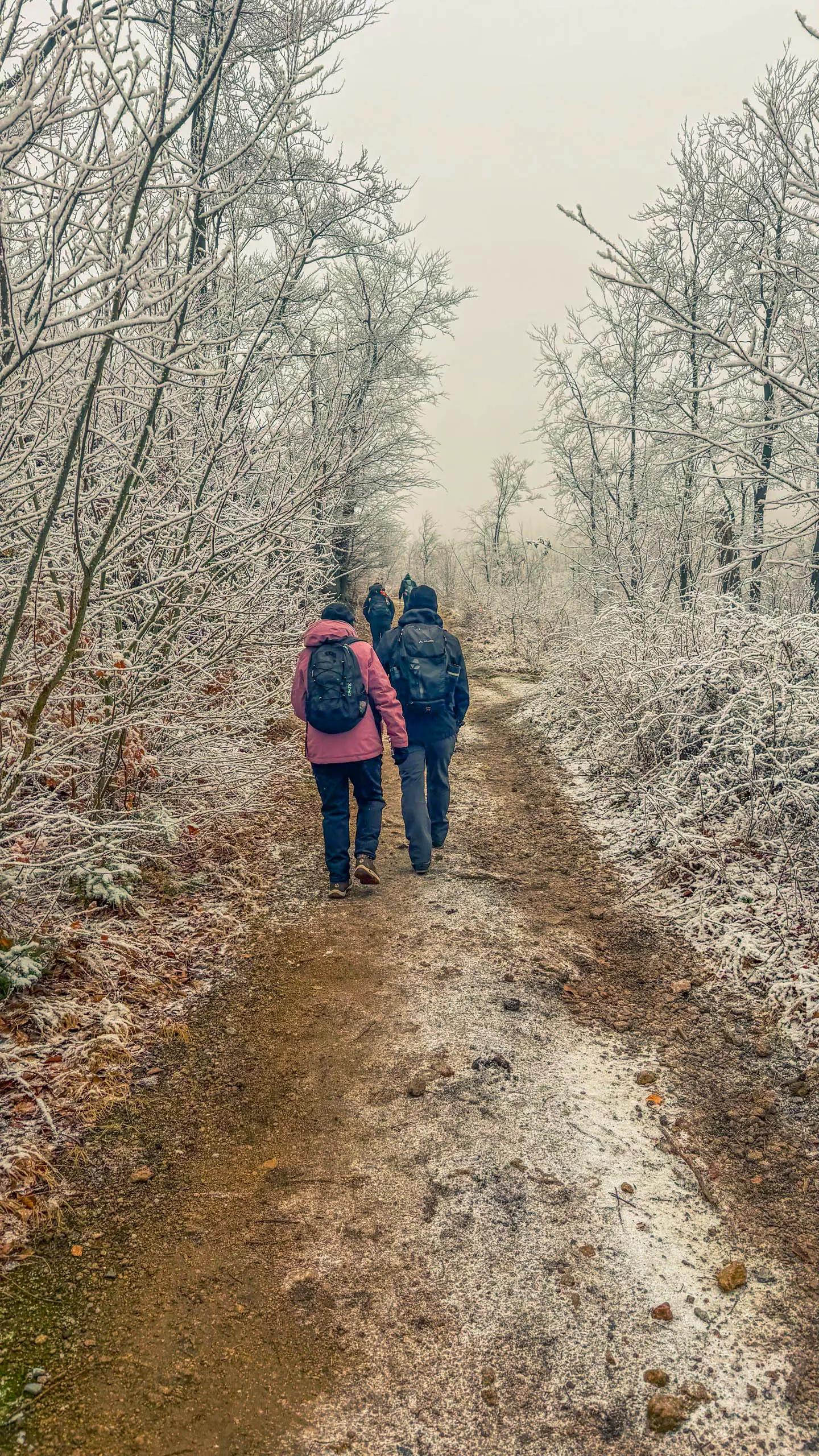 20260214.EMTI.Harzmarsch.20Km.Ilsenburg.Bild.44