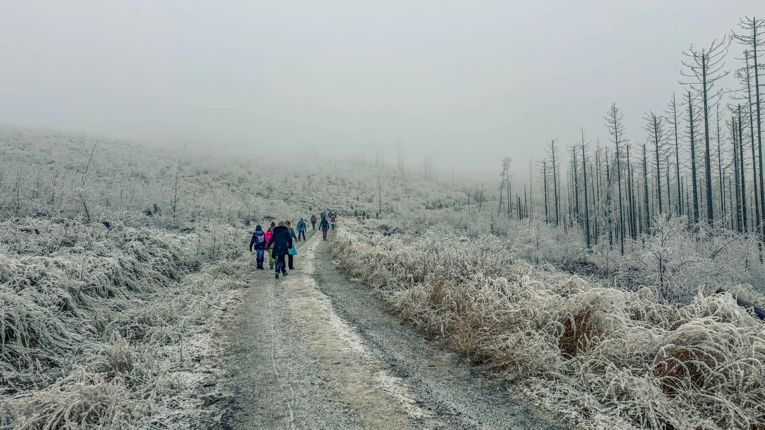 20260214.EMTI.Harzmarsch.20Km.Ilsenburg.Bild.45