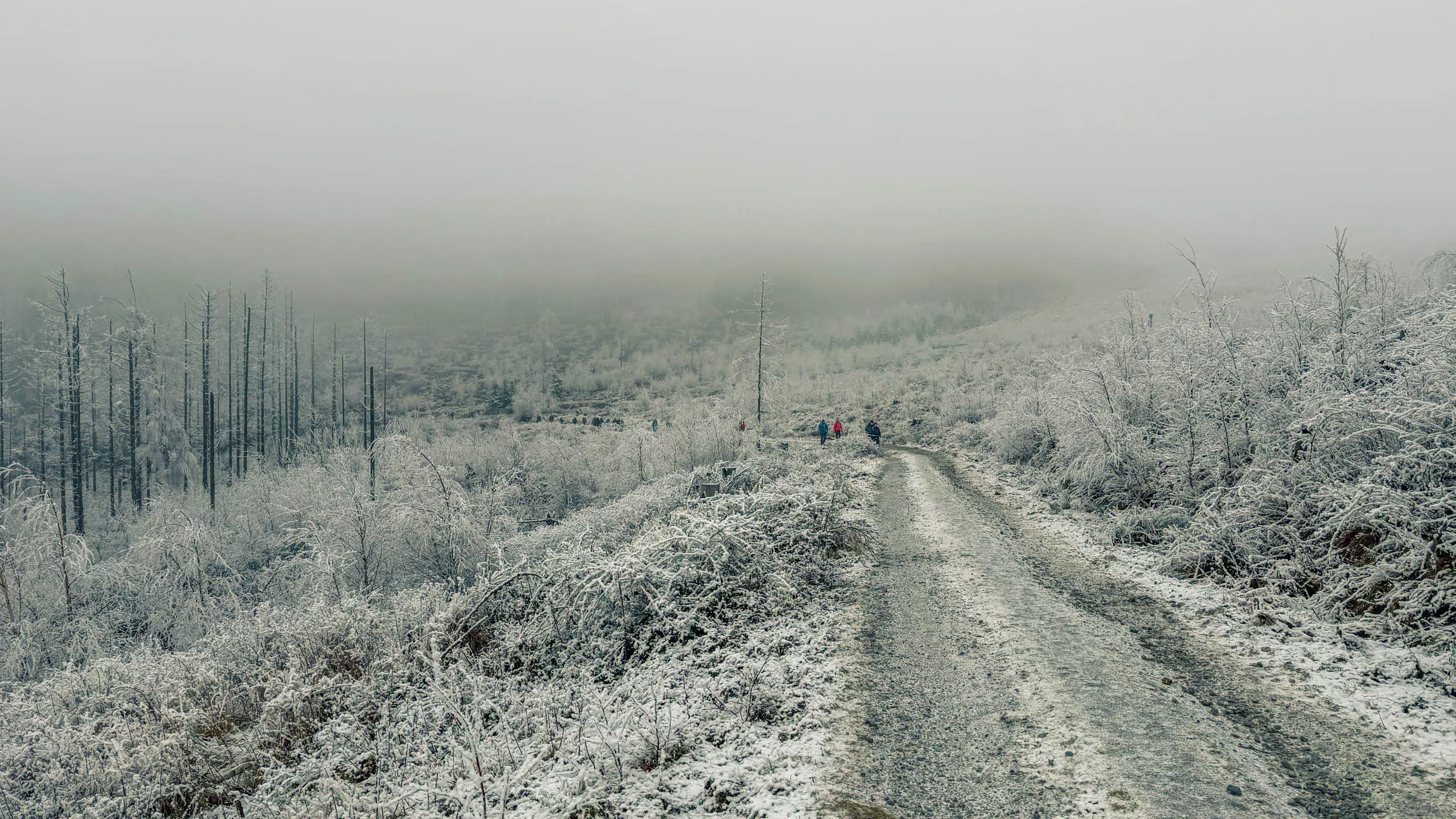 20260214.EMTI.Harzmarsch.20Km.Ilsenburg.Bild.46