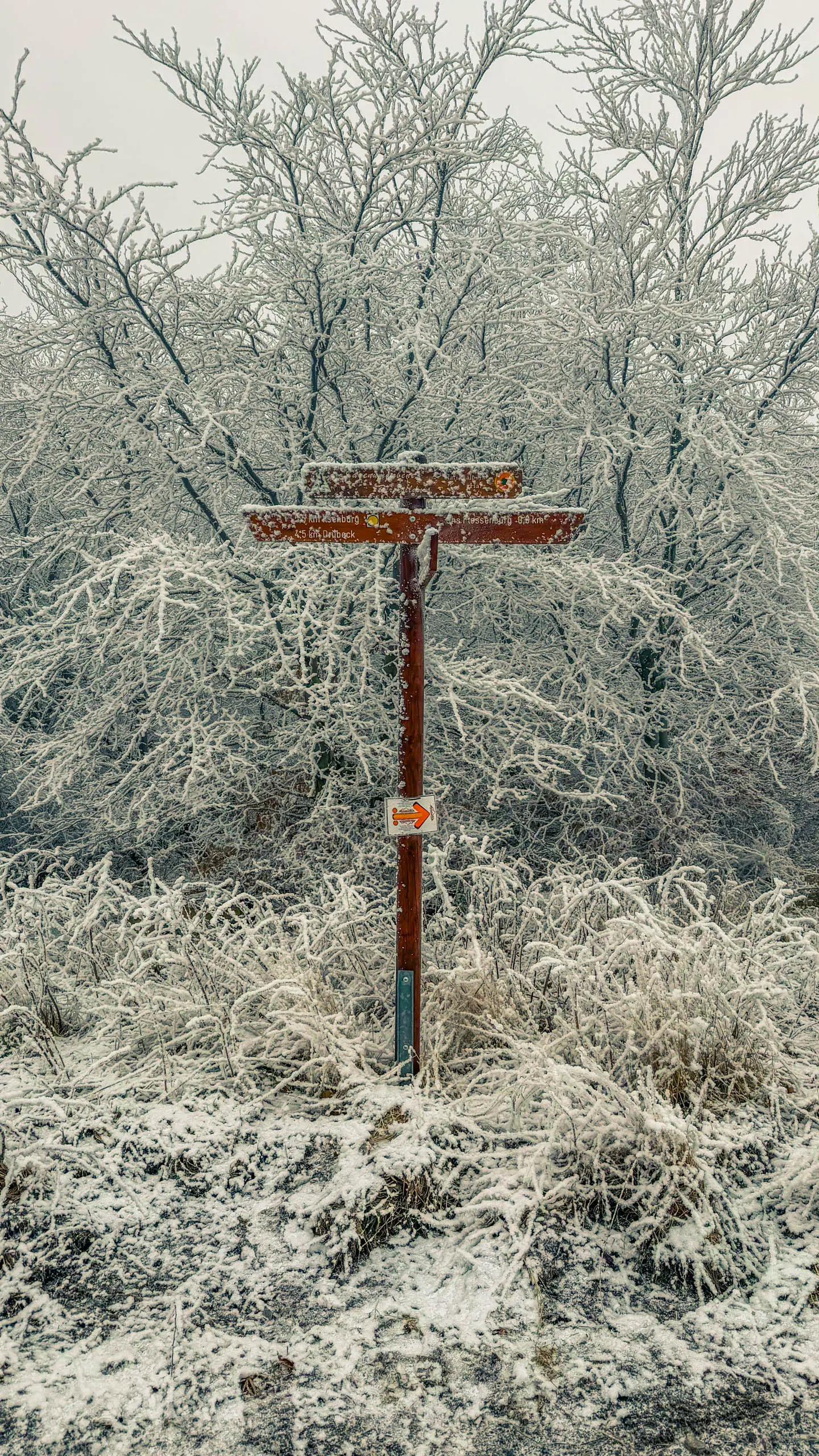 20260214.EMTI.Harzmarsch.20Km.Ilsenburg.Bild.47