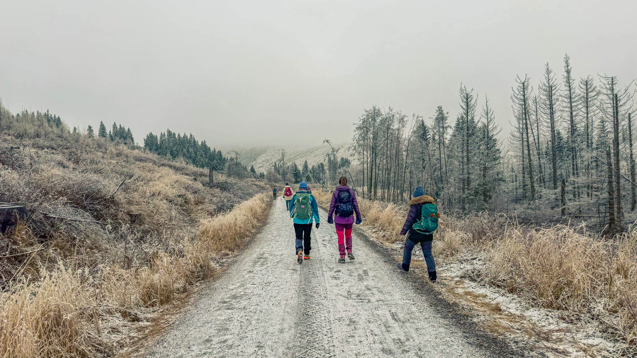 20260214.EMTI.Harzmarsch.20Km.Ilsenburg.Bild.48