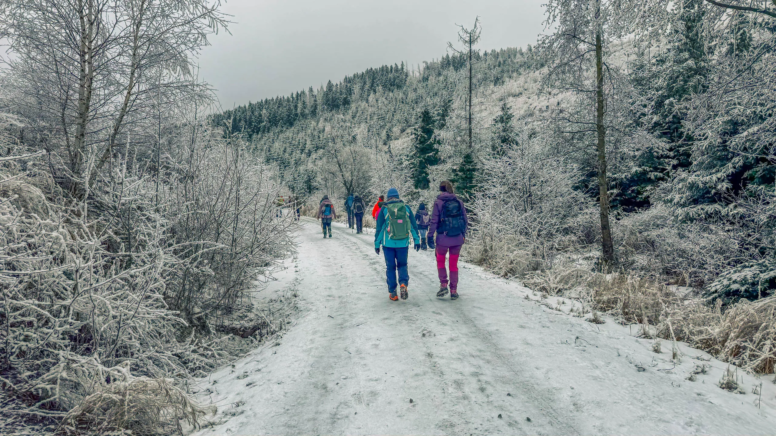 20260214.EMTI.Harzmarsch.20Km.Ilsenburg.Bild.50