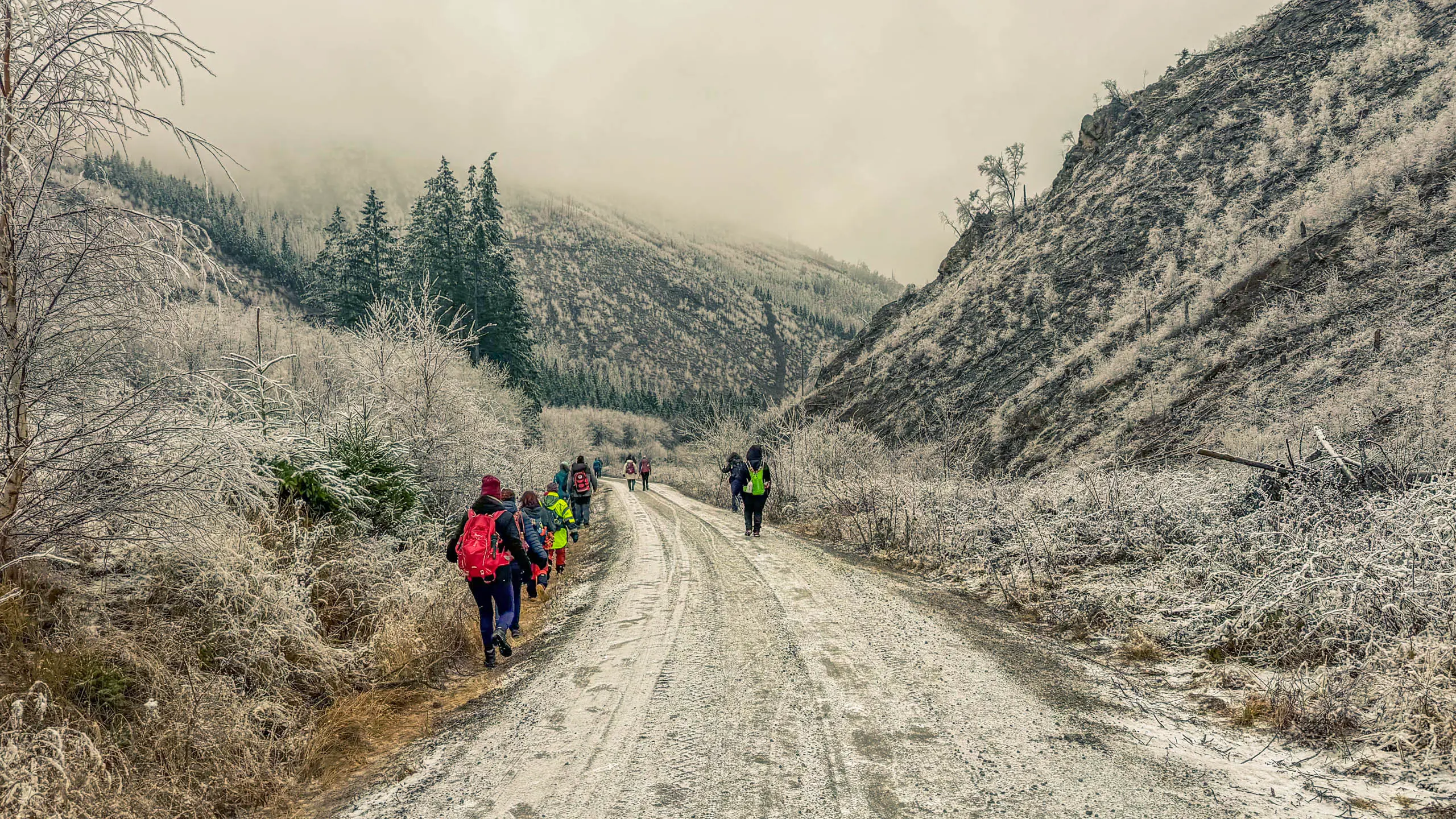 20260214.EMTI.Harzmarsch.20Km.Ilsenburg.Bild.51