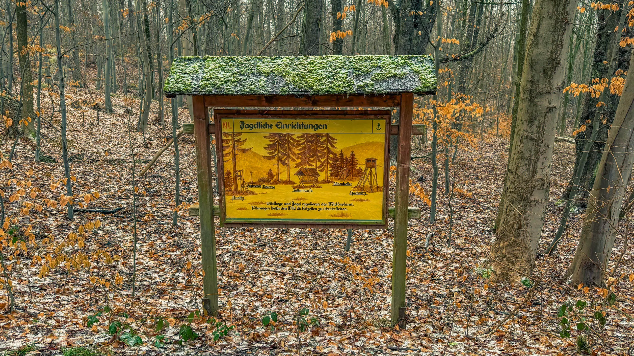 20260214.EMTI.Harzmarsch.20Km.Ilsenburg.Bild.64