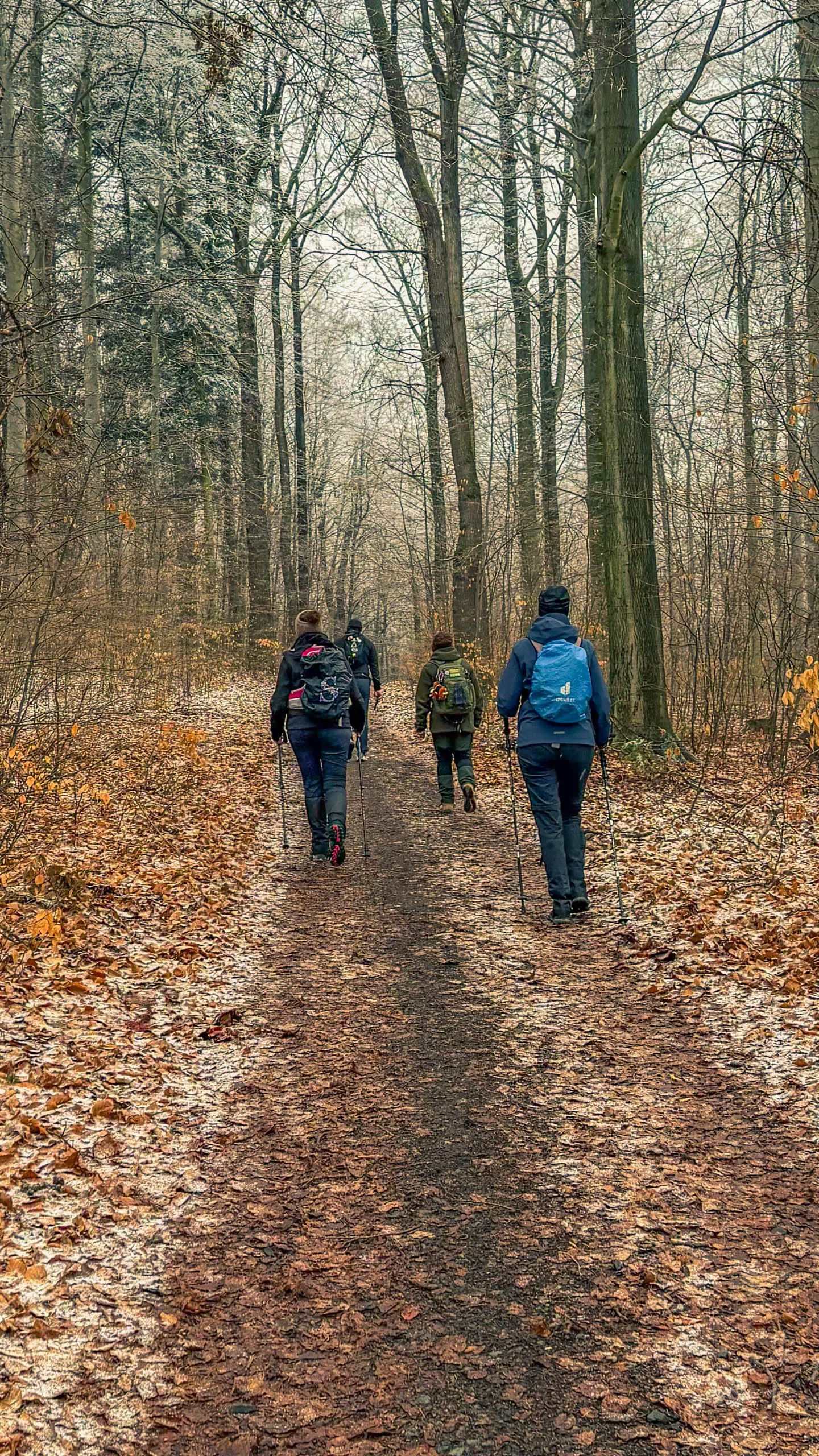 20260214.EMTI.Harzmarsch.20Km.Ilsenburg.Bild.66