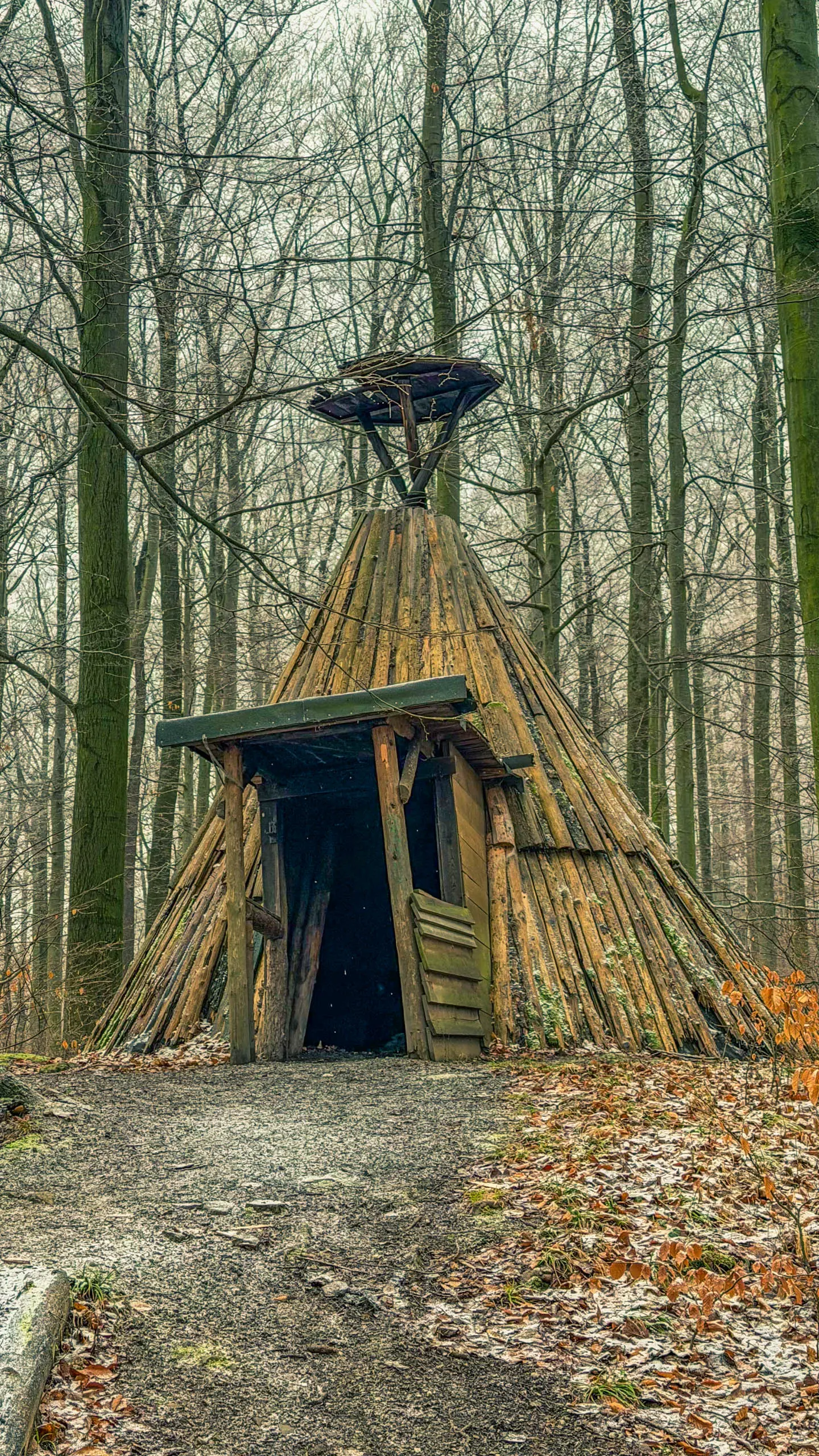 20260214.EMTI.Harzmarsch.20Km.Ilsenburg.Bild.67