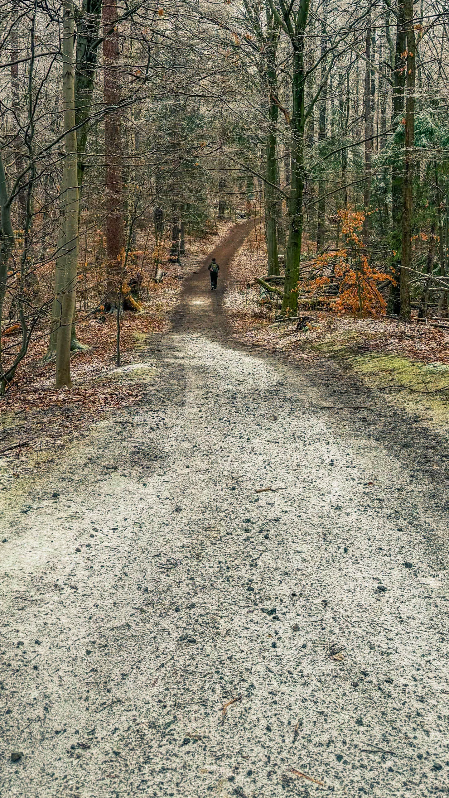20260214.EMTI.Harzmarsch.20Km.Ilsenburg.Bild.68