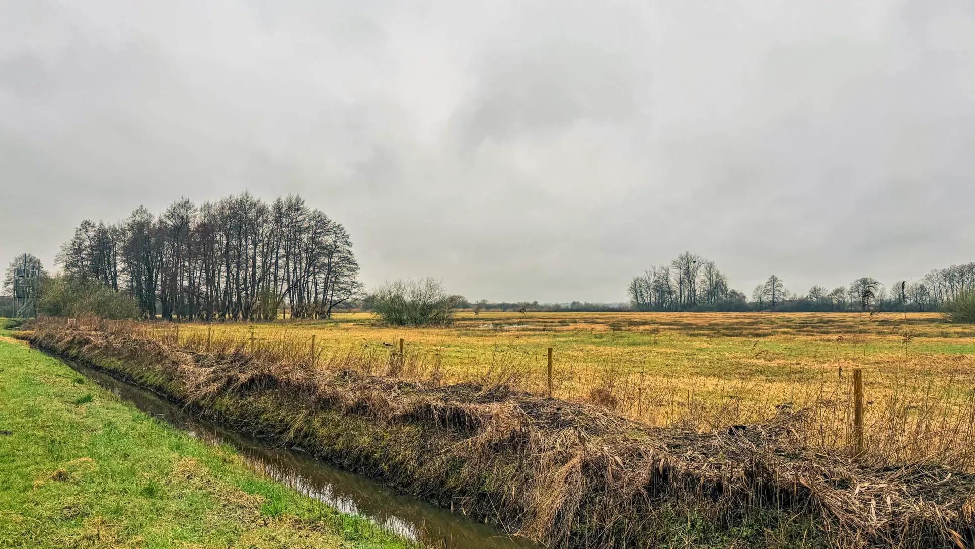 20260314.Rundwanderung.-.Worpswede.(Breites.Wasser).Bild.12