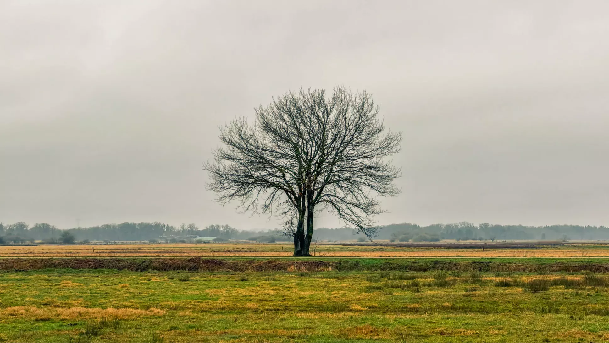 20260314.Rundwanderung.-.Worpswede.(Breites.Wasser).Bild.16