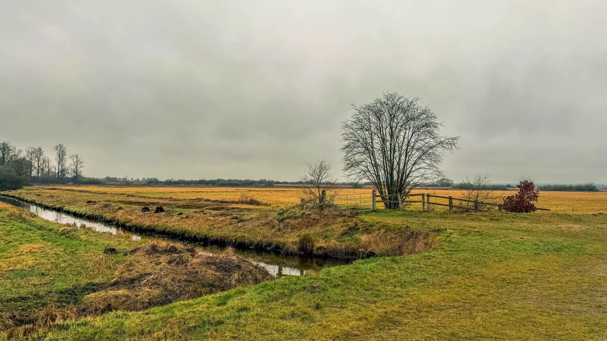 20260314.Rundwanderung.-.Worpswede.(Breites.Wasser).Bild.19