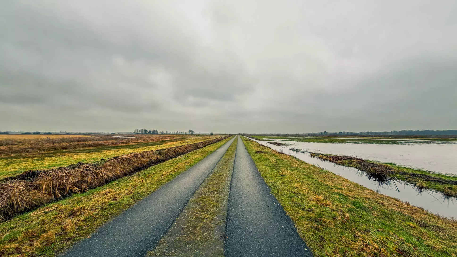 20260314.Rundwanderung.-.Worpswede.(Breites.Wasser).Bild.22