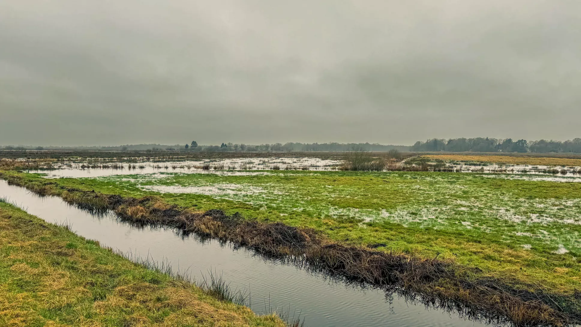 20260314.Rundwanderung.-.Worpswede.(Breites.Wasser).Bild.23