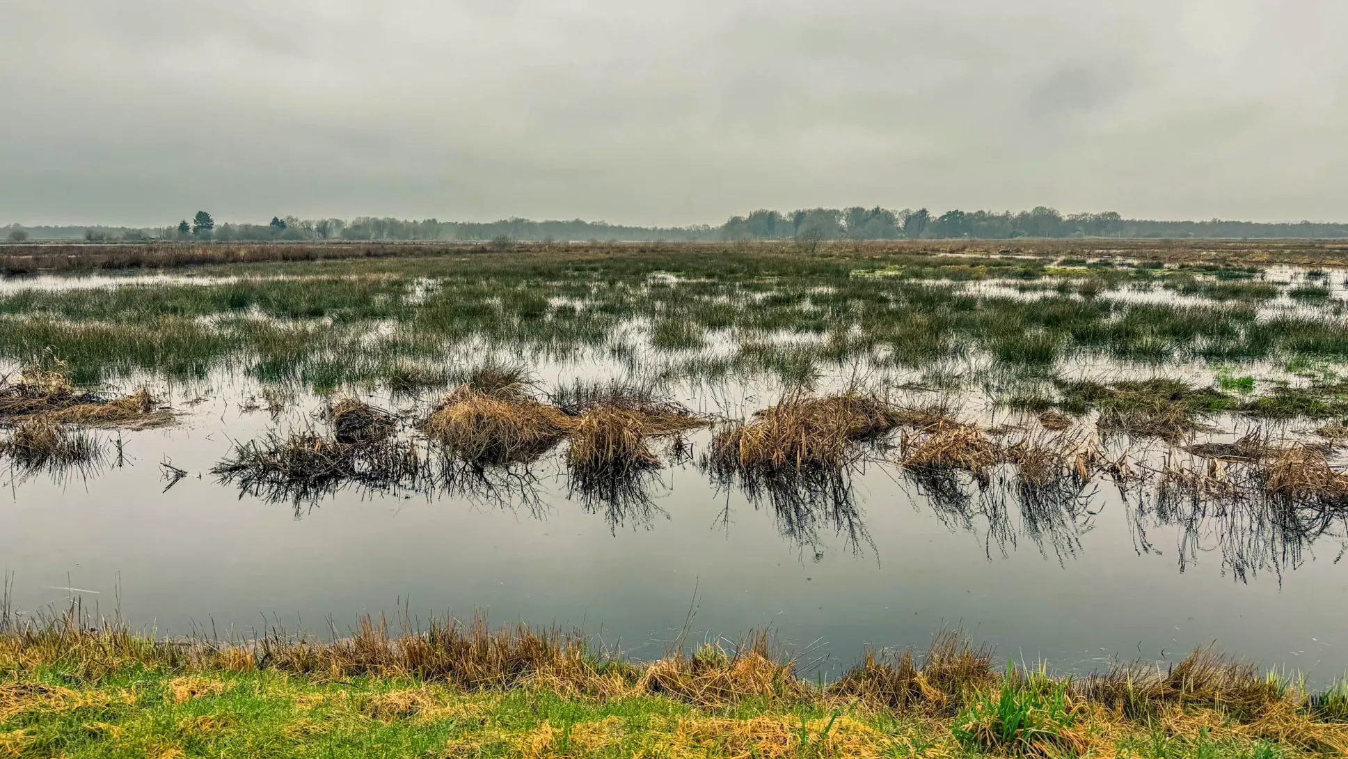 20260314.Rundwanderung.-.Worpswede.(Breites.Wasser).Bild.24