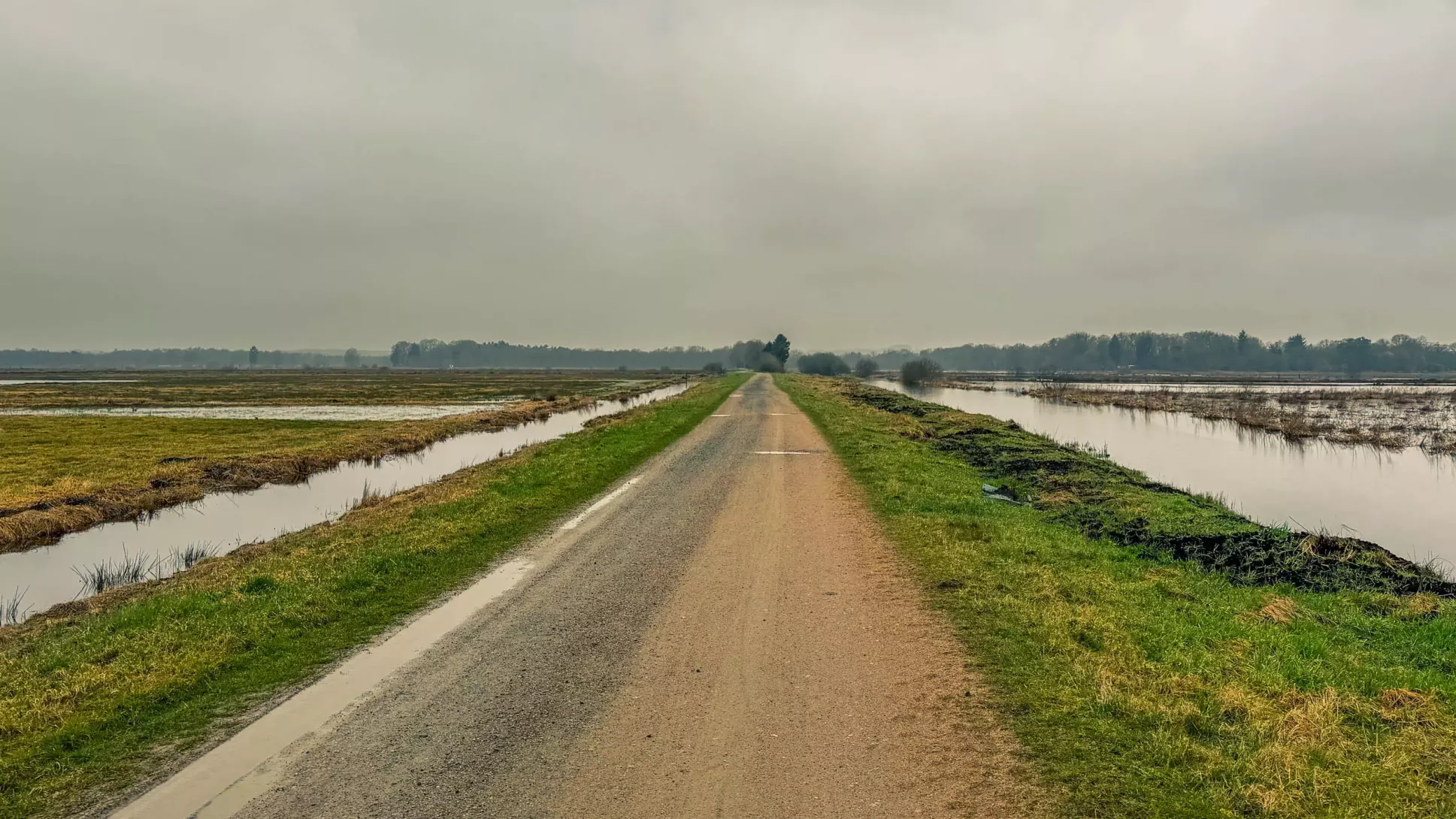 20260314.Rundwanderung.-.Worpswede.(Breites.Wasser).Bild.26