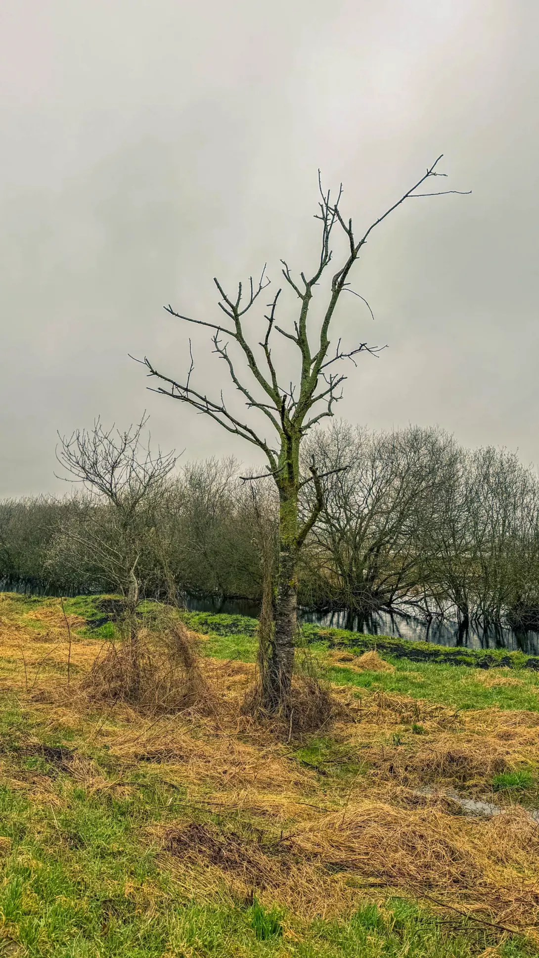 20260314.Rundwanderung.-.Worpswede.(Breites.Wasser).Bild.27