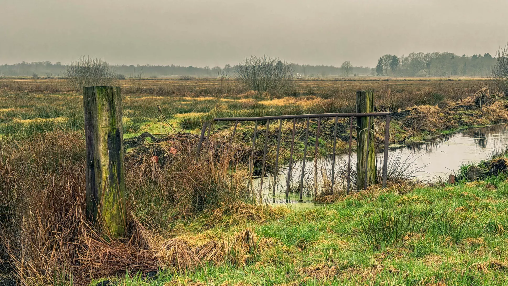 20260314.Rundwanderung.-.Worpswede.(Breites.Wasser).Bild.28