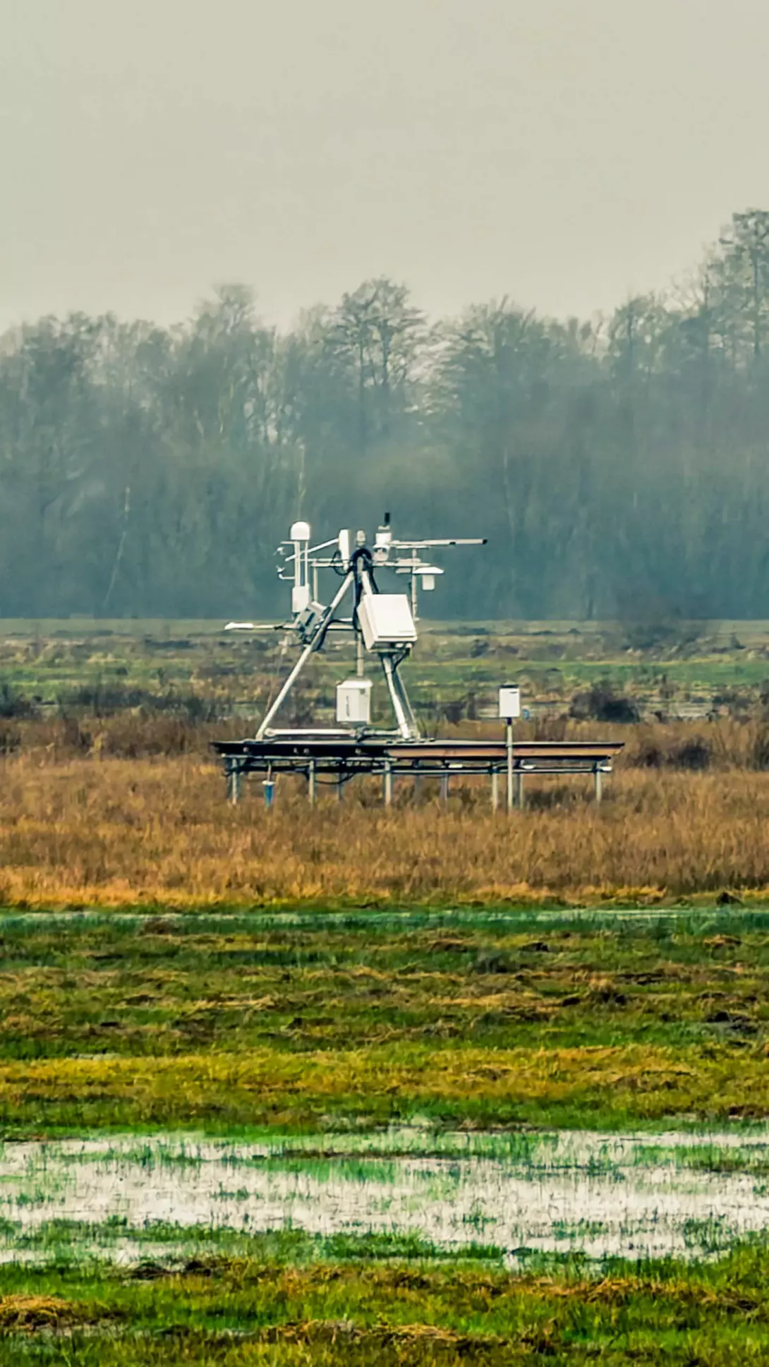 20260314.Rundwanderung.-.Worpswede.(Breites.Wasser).Bild.31