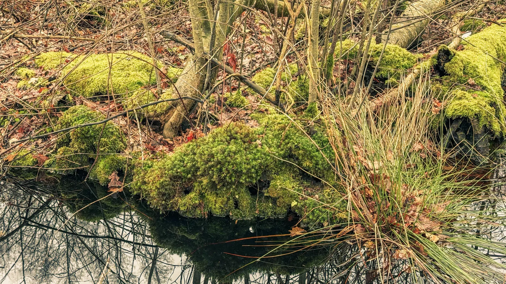 20260314.Rundwanderung.-.Worpswede.(Breites.Wasser).Bild.33