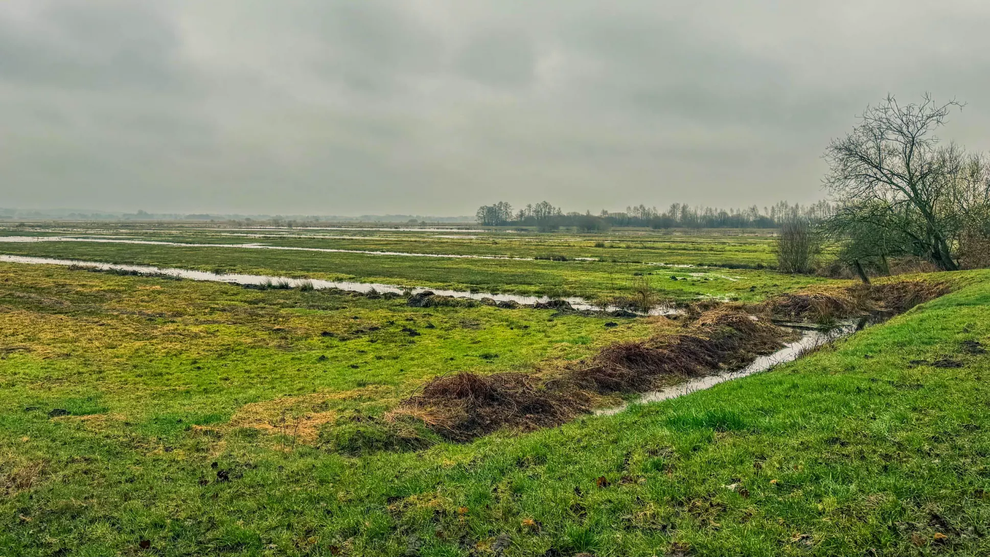 20260314.Rundwanderung.-.Worpswede.(Breites.Wasser).Bild.35