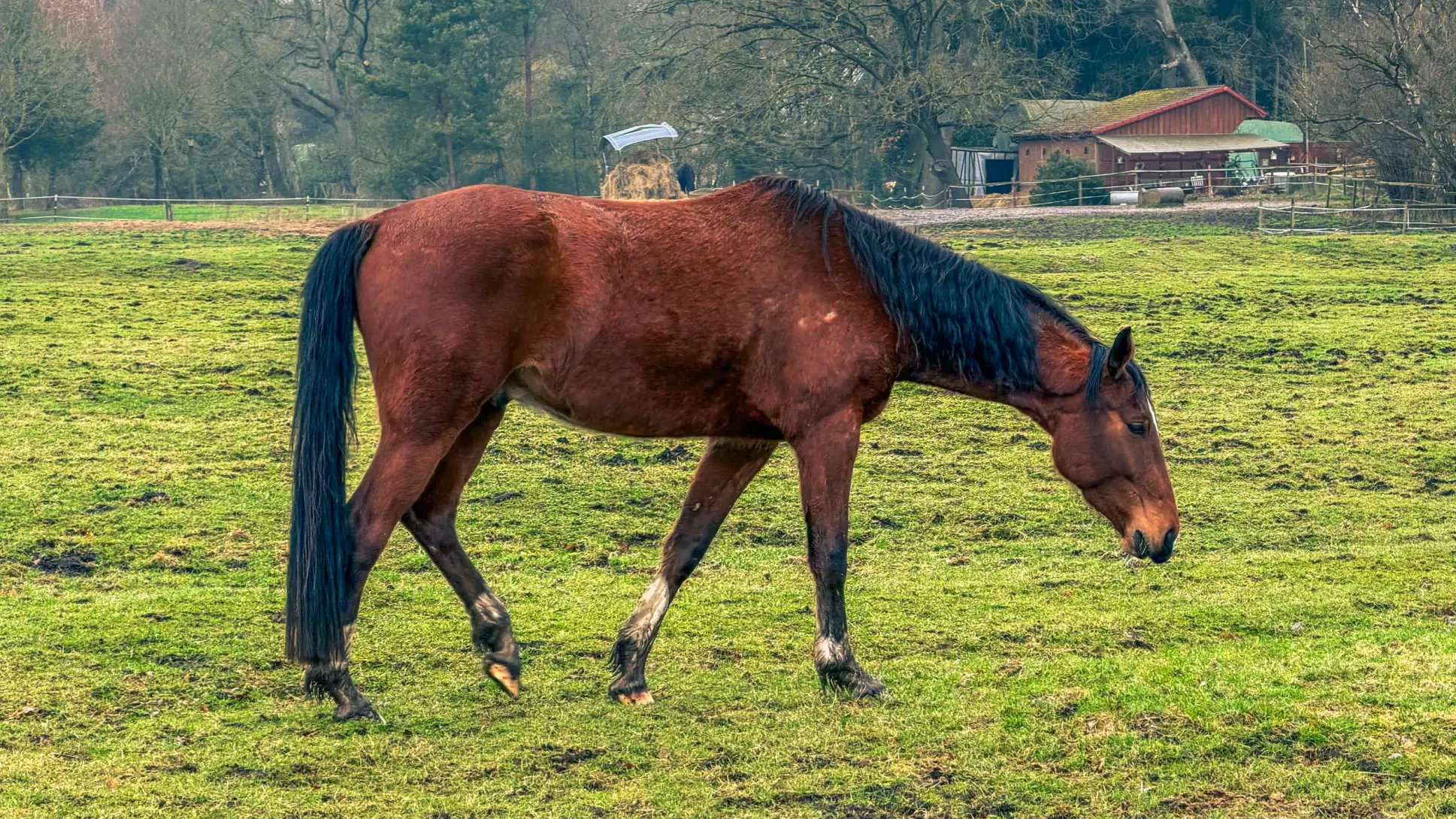 20260314.Rundwanderung.-.Worpswede.(Breites.Wasser).Bild.36