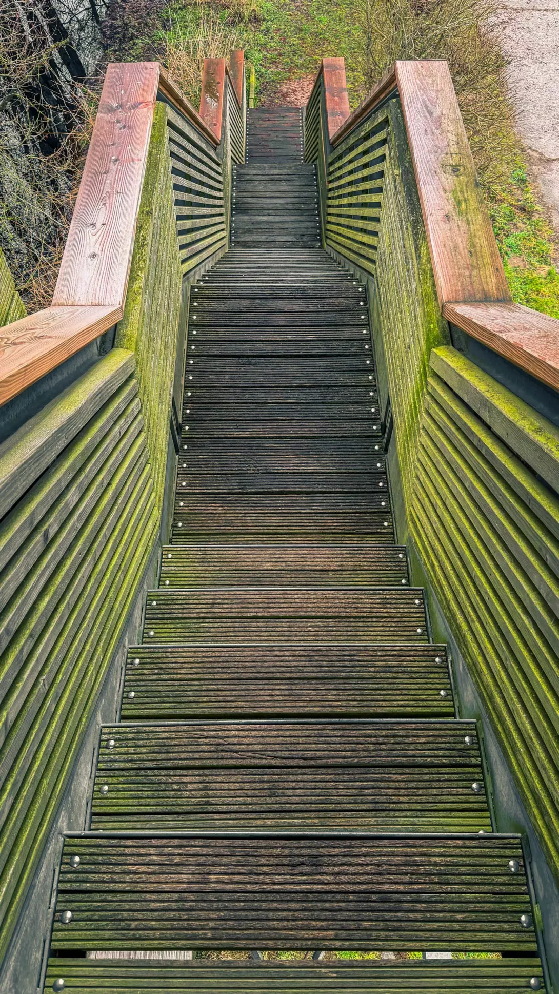 20260314.Rundwanderung.-.Worpswede.(Breites.Wasser).Bild.42