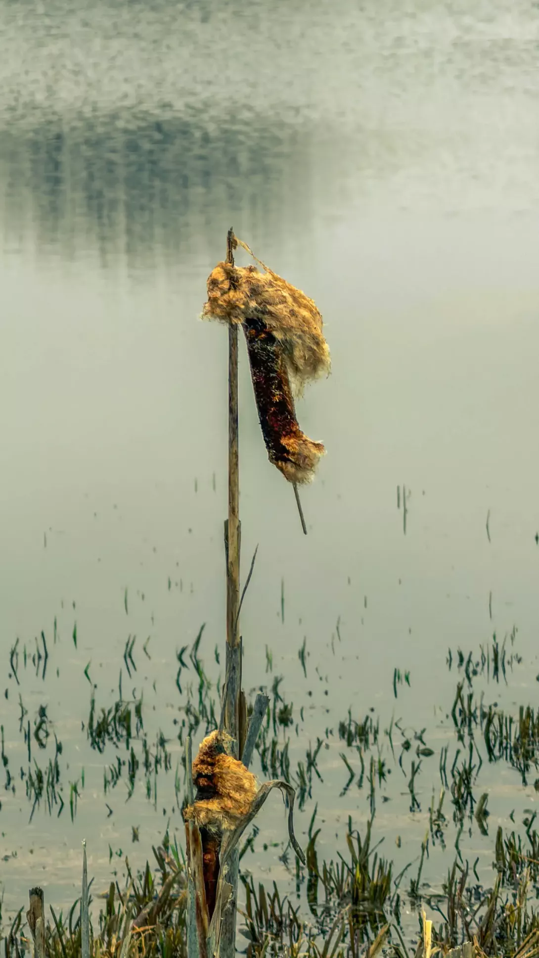 20260314.Rundwanderung.-.Worpswede.(Breites.Wasser).Bild.44