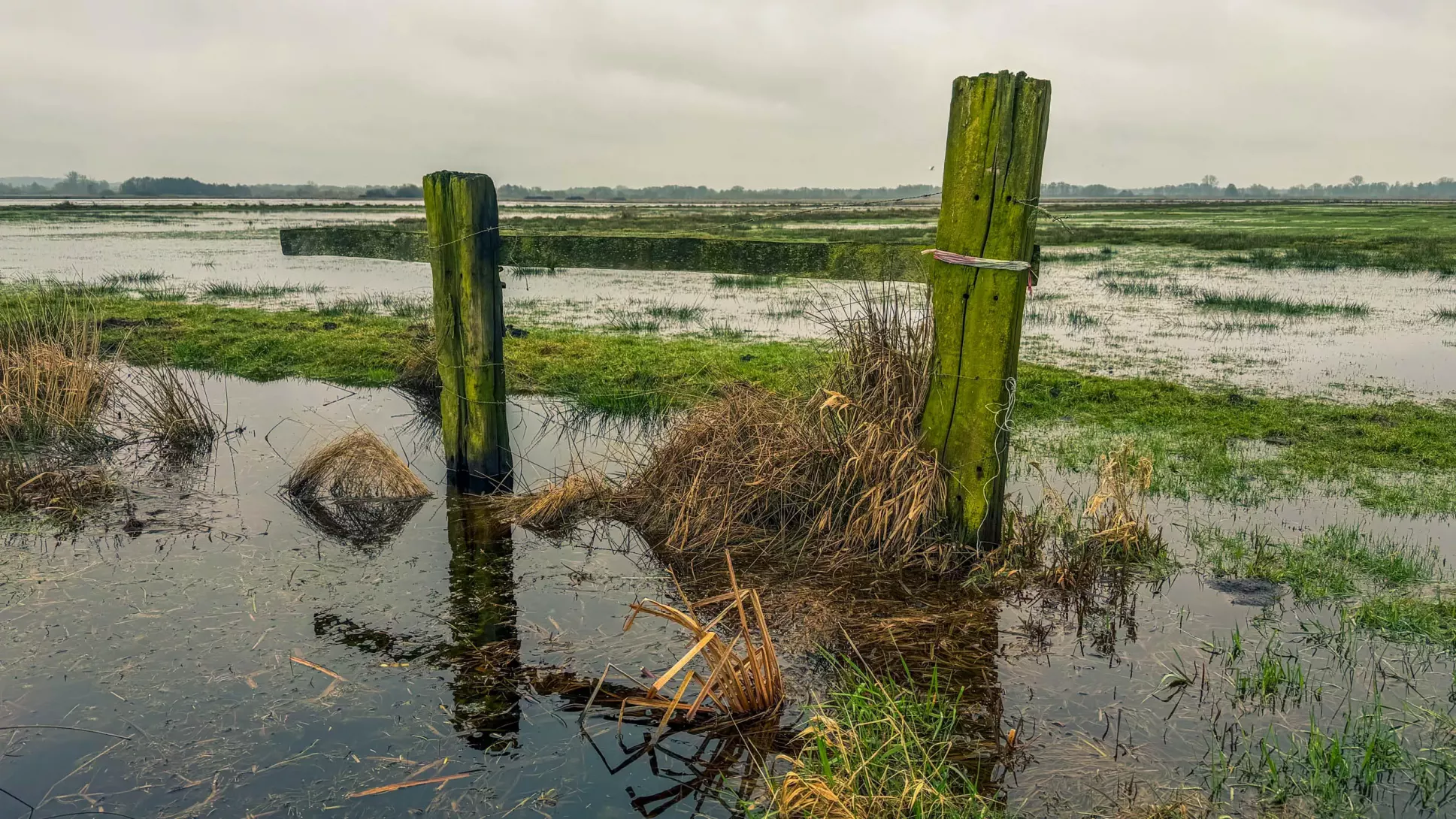 20260314.Rundwanderung.-.Worpswede.(Breites.Wasser).Bild.46