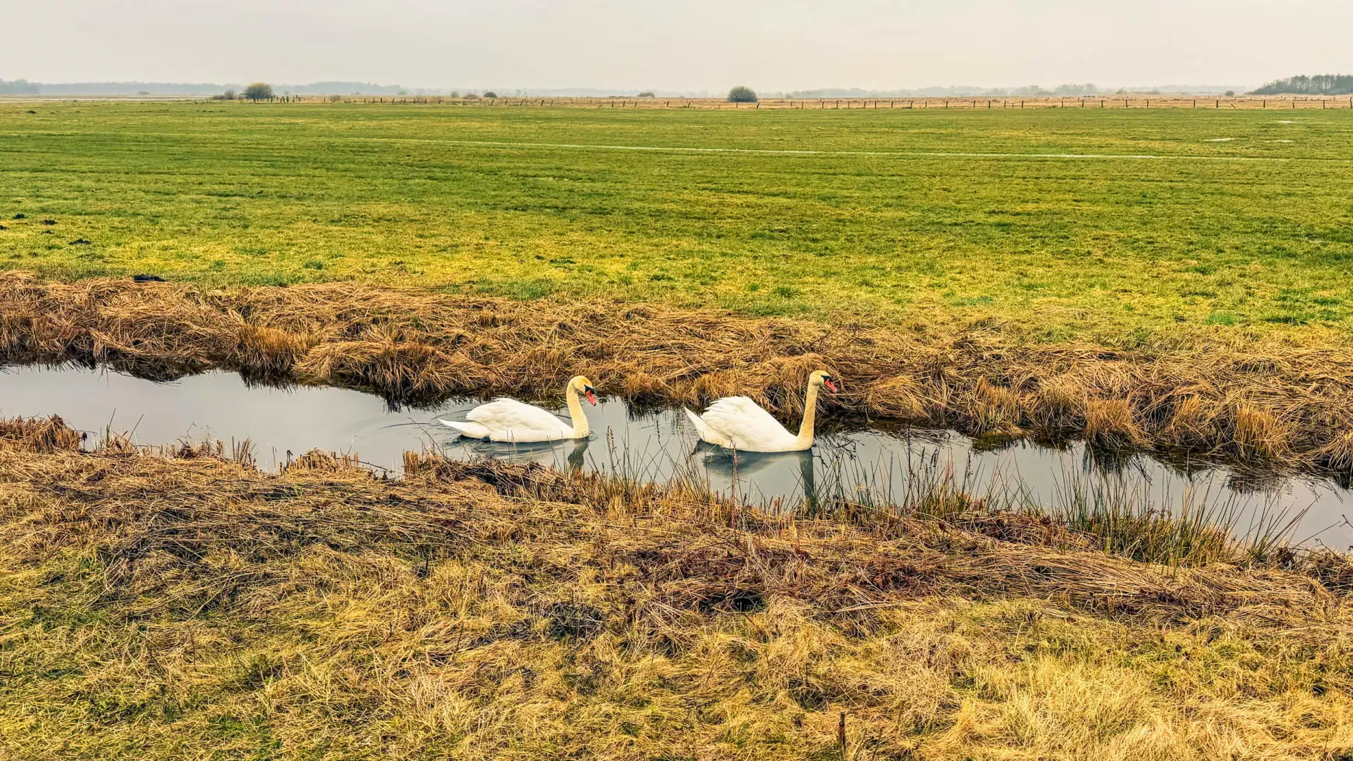 20260314.Rundwanderung.-.Worpswede.(Breites.Wasser).Bild.48