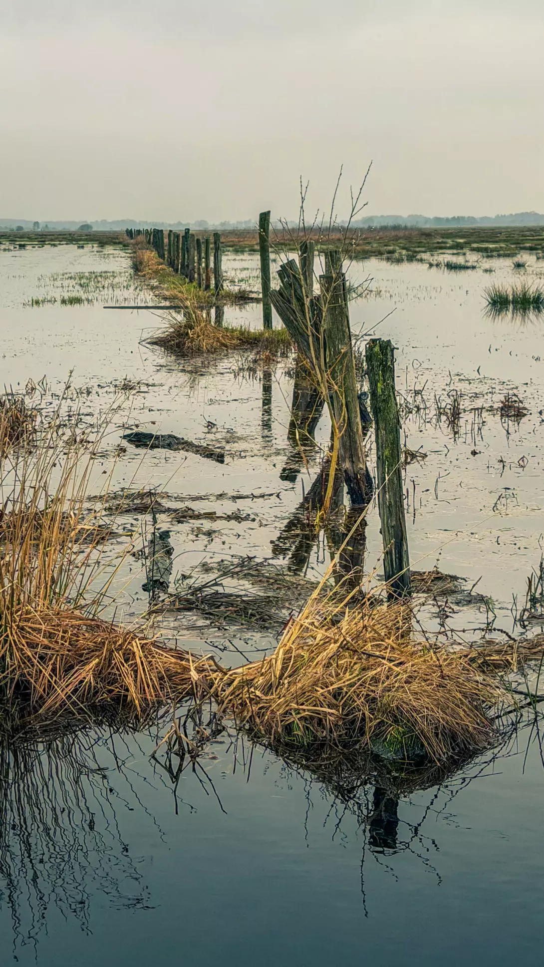 20260314.Rundwanderung.-.Worpswede.(Breites.Wasser).Bild.50