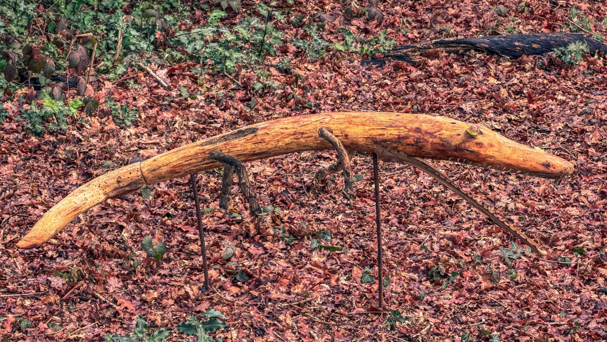 20260314.Rundwanderung.-.Worpswede.(Breites.Wasser).Bild.60