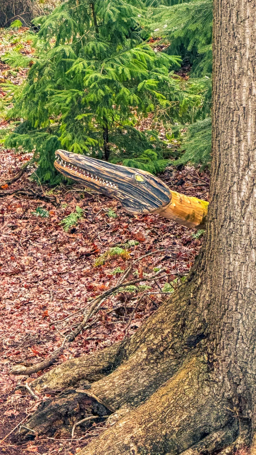 20260314.Rundwanderung.-.Worpswede.(Breites.Wasser).Bild.61