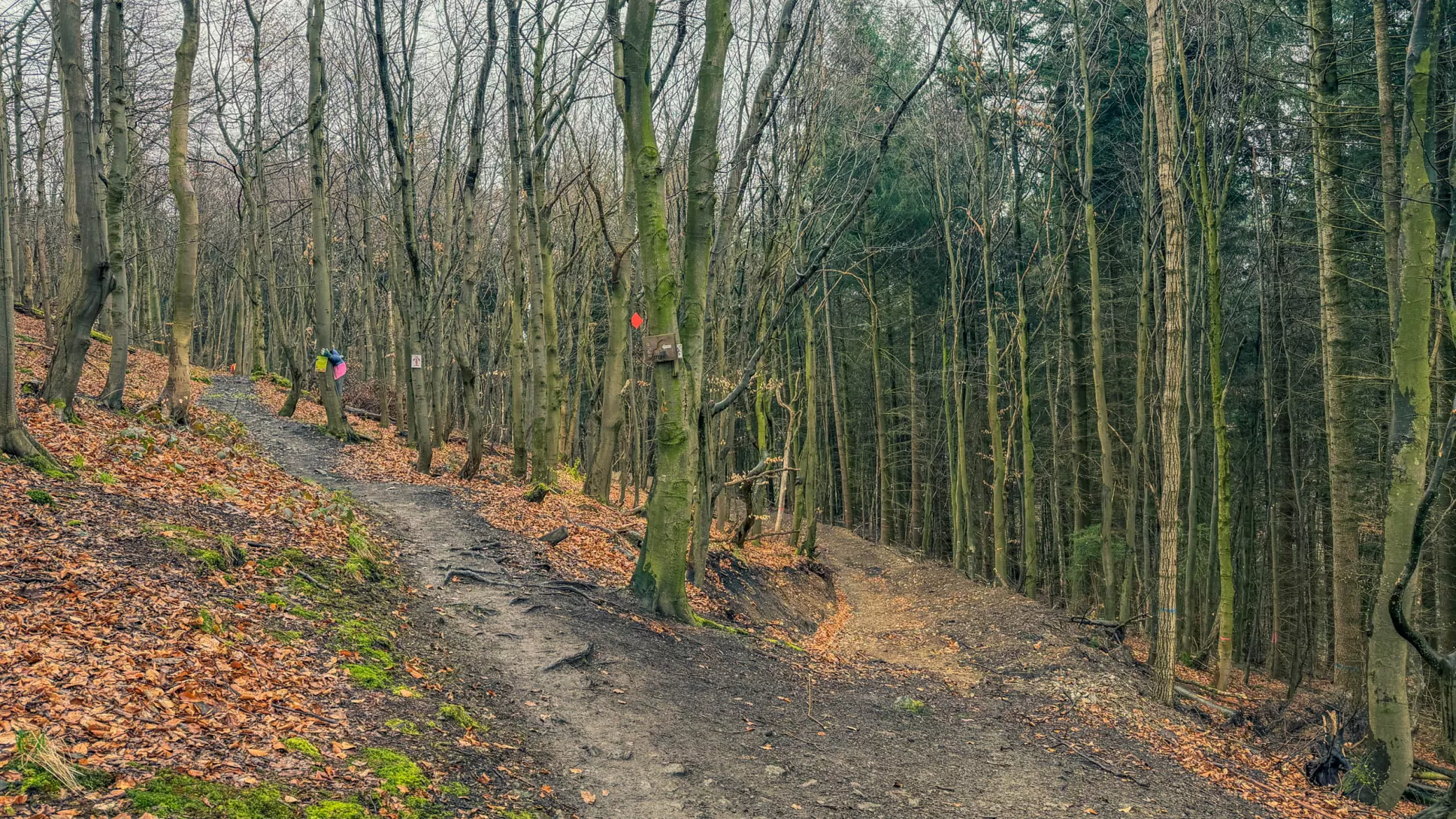 20260328.EMTI.Frühlingsauftakt.in.Goslar.2026.Bild.44