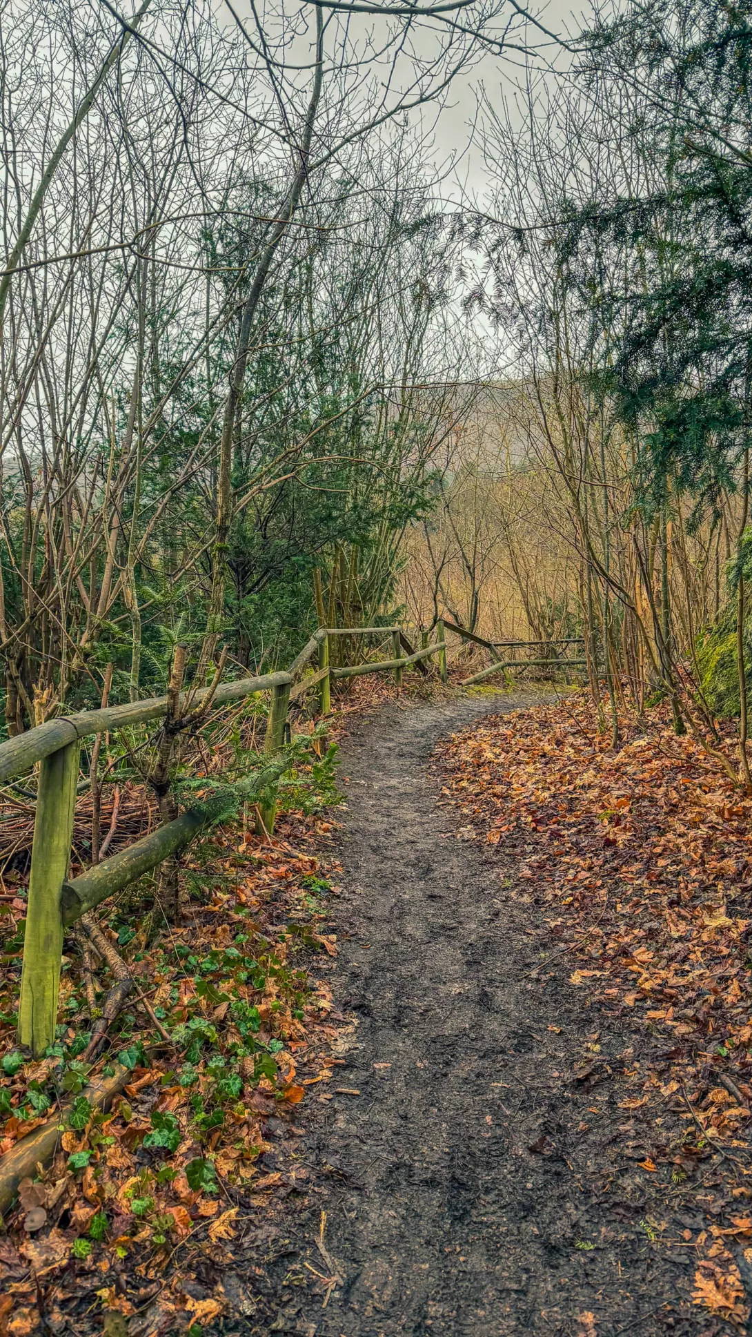 20260328.EMTI.Frühlingsauftakt.in.Goslar.2026.Bild.68